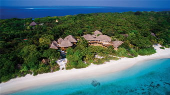 马尔代夫的天价海鲜惊魂记