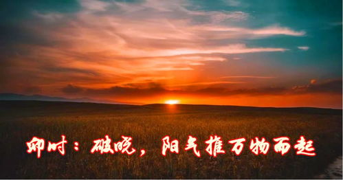 三十九字默罪：一条水
