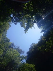 三、 一日游行程规划