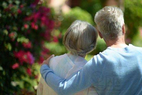 男猪和女鼠合不合适,男猪女鼠能不能在一起