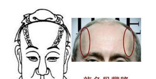 看脸识人？这些面相特征让你秒懂谁是真·狼灭