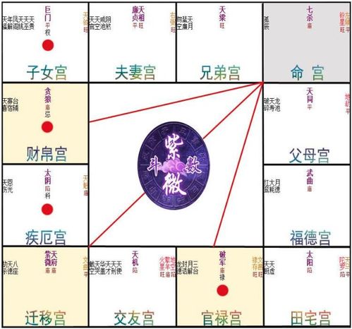 【爆笑】紫微斗数是个什么鬼？