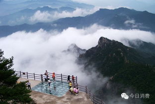 老君山：神仙们也爱的地方？