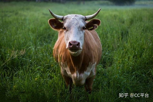 4月：万物复苏 – 积极向上与突破