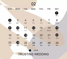 全球订婚迷惑行为大赏