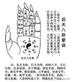 五宫好婚姻好，五宫福地指的是什么？