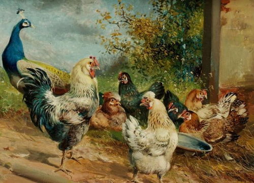 2026年属鸡的人命运如何，会有两喜缠身吗？