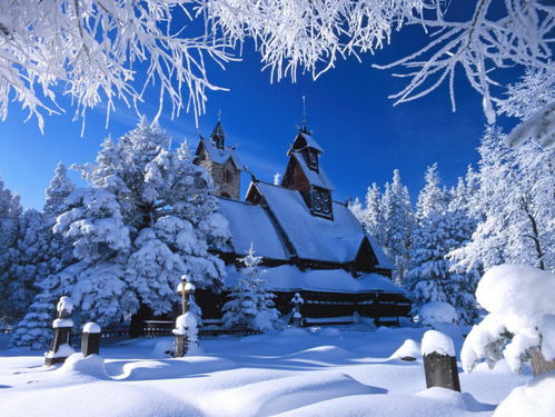 亲子游首选——皇城之巅上的堆雪人