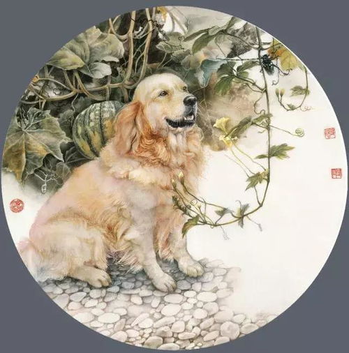 1970年属狗的朋友：忠诚的守护者