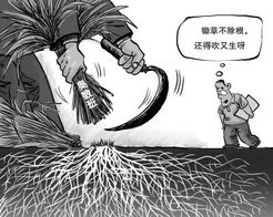 斩草除根打一生肖是哪个？正确生肖是什么生肖的意思？
