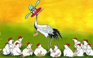 鹤立鸡群是哪个生肖？打一生肖嫩形容什么生肖？