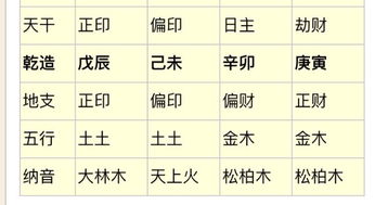 田雨林的名字来源