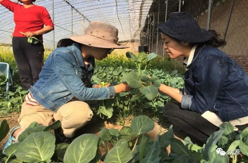 哎呀，这周又快过完了心里那个烦啊！