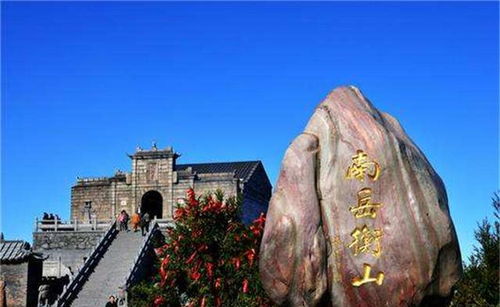 插入情绪碎片：