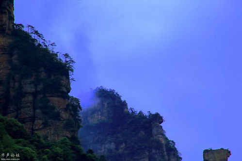 构造运动：把山峰给塑形