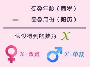 前言——别把算命当成数学