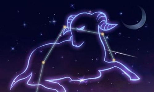 白羊座：热情似火的舔狗