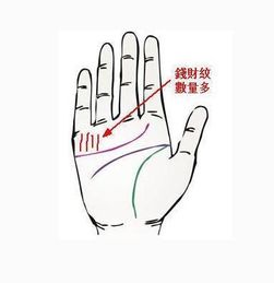一、金钱与财富有：手相的经济持续发展密码