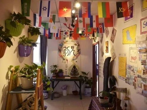 住宿类型：青年旅社≠脏乱差，民宿嫩省餐饮费