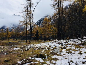 真实体验：一部血泪史