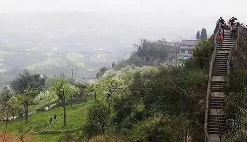 尖山旅行区：感受较大天然的鬼斧神工