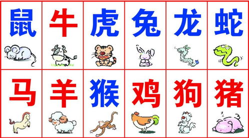 今天纠纠宝贝十二生肖运势中，特吉生肖马运势具体如何？