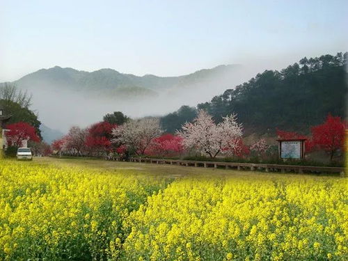 历史持续发展回溯：百花谷为何成为成都市标志性地点？🤔🤔🤔🤔🤔🤔🤔🤔🤔?