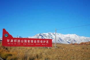张掖内蒙环线游：一场视觉与文化底蕴的盛宴