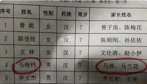 谐音转换：创造独特个性的关键