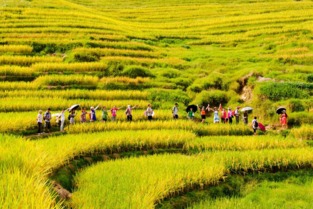 第四站：牧场体验区——“草原心跳”