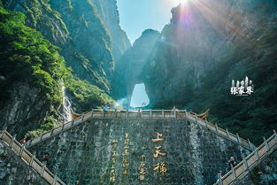 一、 张家界门票市场价格：一年涨两次的