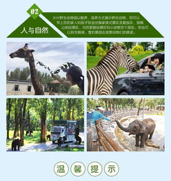 小火车之旅