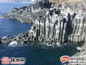 随手写下的小碎片——噪音与情感交织的瞬间