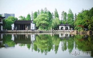 2. 感受红梅公园的浪漫