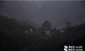 星座与风水