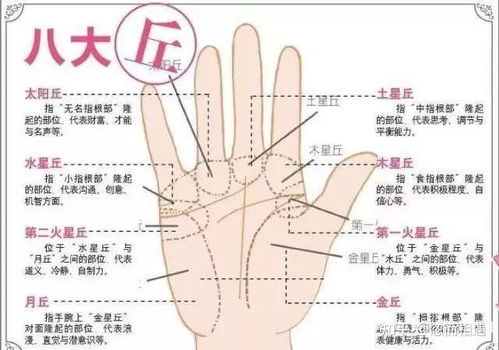 感情线乱象实例（随意拼凑）