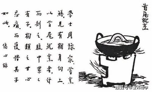 国学演出笑掉大牙