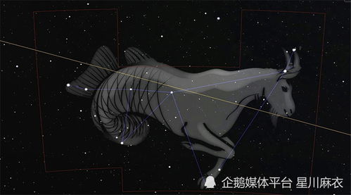 和水瓶座简直就是灾难现场