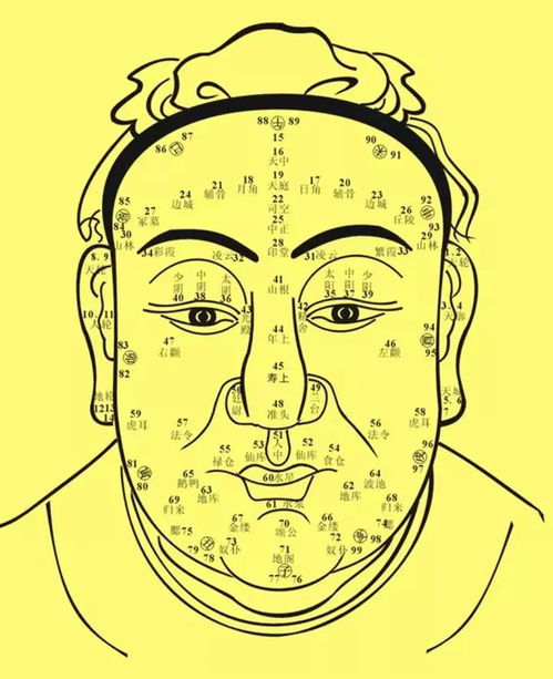 四败：胡须过硬