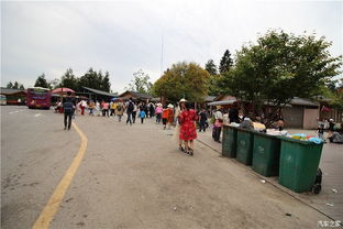 亲子游隐藏玩法：孩子比大人玩得疯