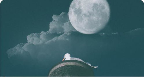 行星逆行与潜意识：被压抑的情感