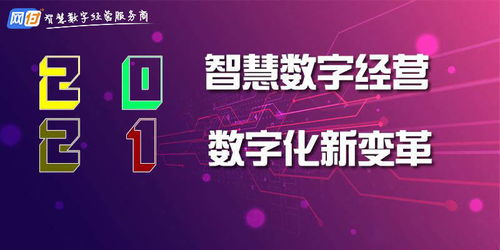 文化+科技 双倍叠加：西溪湿地探险营🏕️