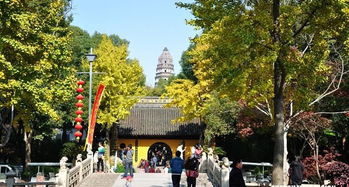 景区の迷惑行为大赏