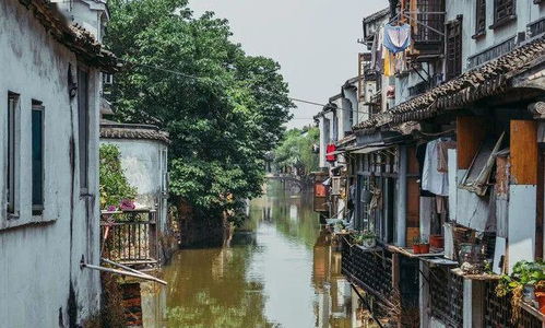 手工画赛的“奇葩”开场仪式