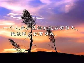 生肖星座的影响：性格特征分析