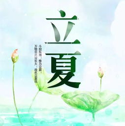 千年立夏风俗，南通传承爆款秘籍