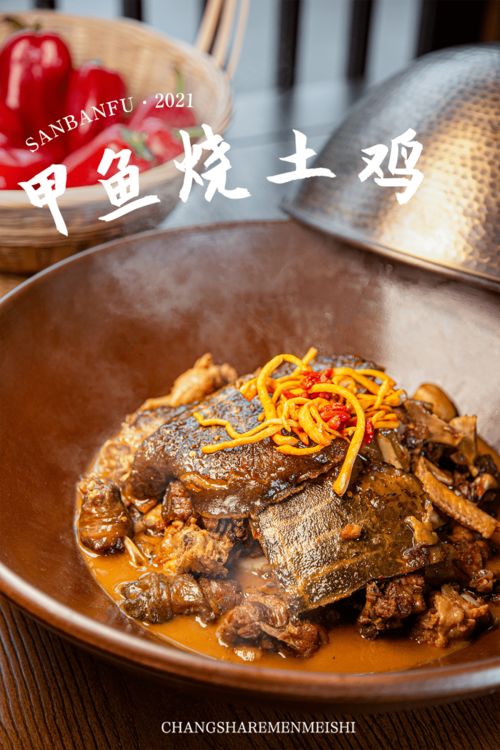 引子：一场味蕾的冒险与混乱的开始