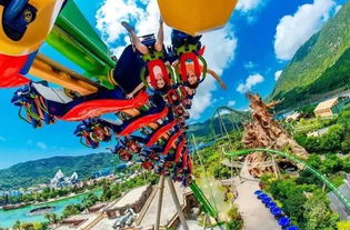 周末去哪里玩？当然是长隆啊！