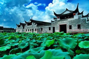 四、 文化的重量：或着是虚无缥缈的故事