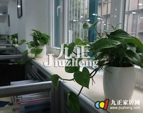 厂房植物风水忌讳什么,厂房植物配置